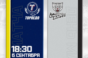 Прямая трансляция матча PRO Ligasy &quot;Торпедо&quot; - &quot;Снежные Барсы&quot;