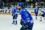 Владимир Гребенщиков остаётся в «Торпедо»