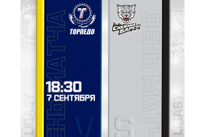 Прямая трансляция матча PRO Ligasy &quot;Торпедо&quot; - &quot;Снежные Барсы&quot;
