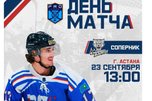 Прямая трансляция матча «Снежные Барсы» - «Торпедо»