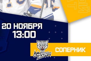 Прямая трансляция матча «Снежные Барсы» - «Алтай Торпедо»