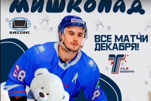 «МИШКОПАД» на матчах домашней серии