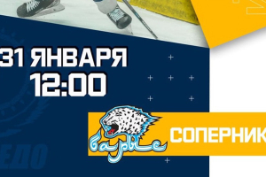 Прямая трансляция матча «Торпедо» - «Барыс-Жас»